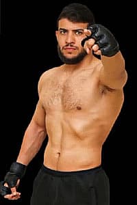 Ahmad Abdelbast Darwish